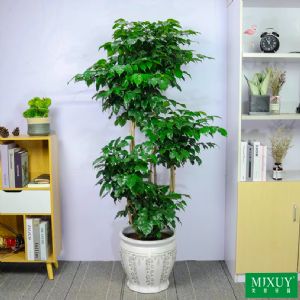 绿宝五层(白花纹腰鼓瓷盆)高约1.6-1.8m
