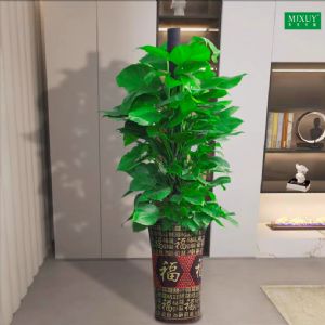 绿萝柱(金福瓷盆)高约1.5-1.6m