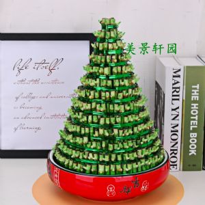 小十三层富贵竹塔+ 红盆